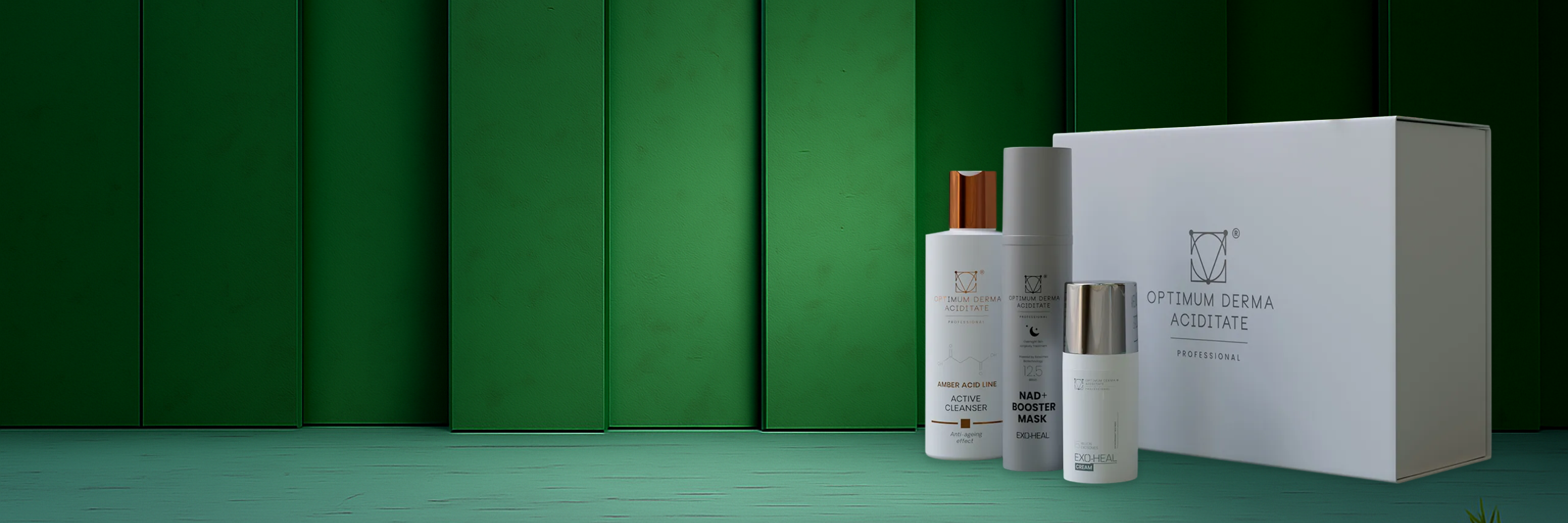 Kalėdiniai Rinkiniai žaliame fone